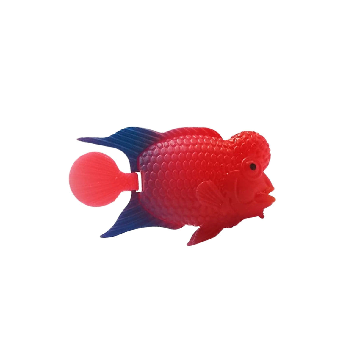 PEIXE FLUTUANTE FLOWERHORN VERMELHO/AZUL SKRw