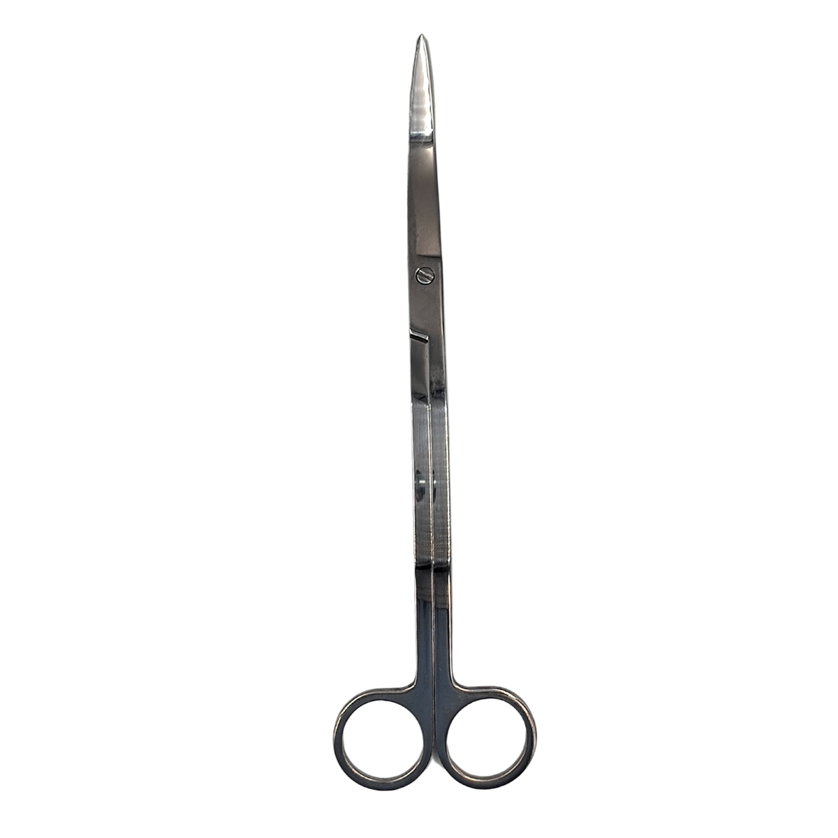 Tesoura Curva Ondulada Pontiaguda Inox Para Aquários Plantados 25 Cm Skrw