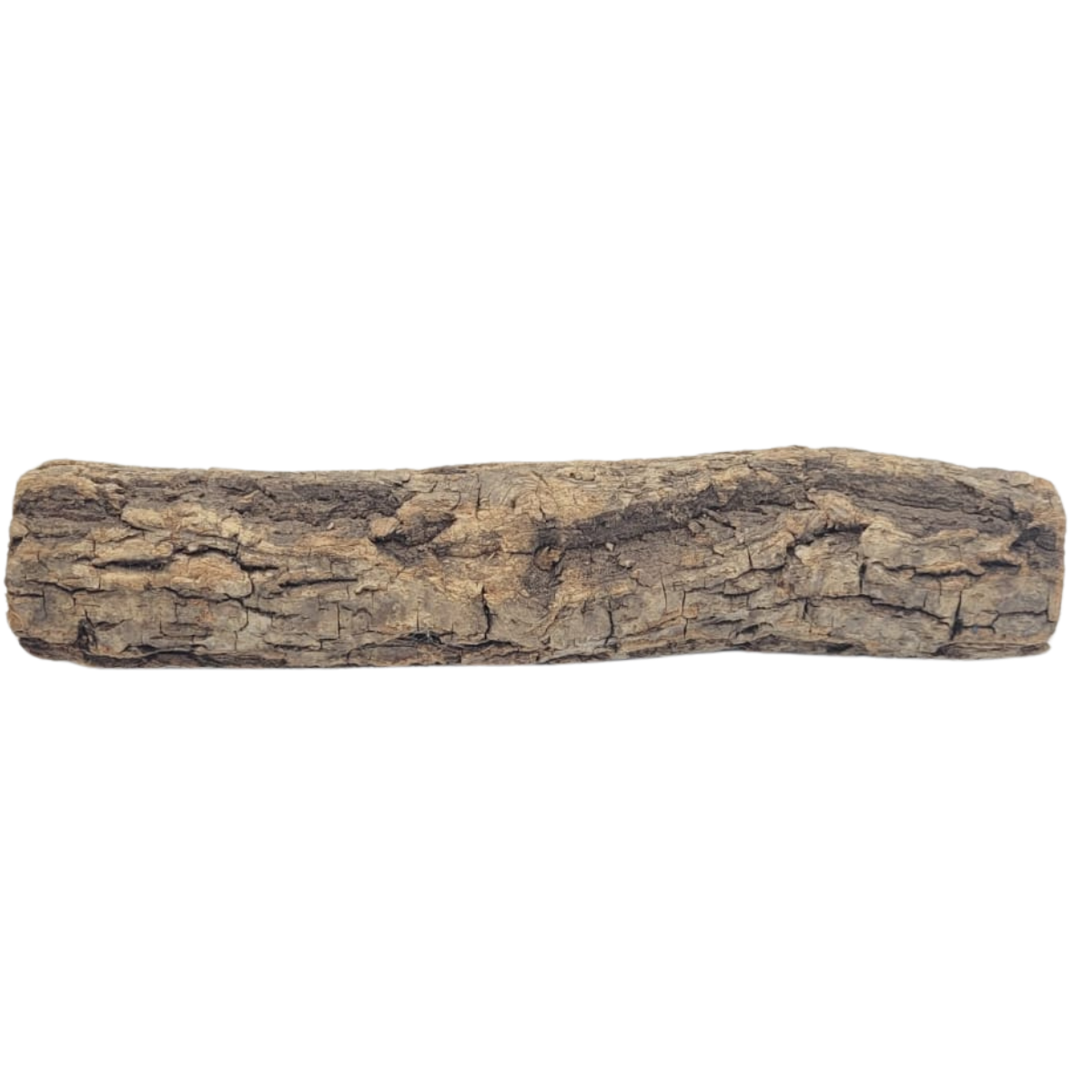 SKRw RAIZ ORNAMENTAL TORA RETA DE 30 A 60CM KL