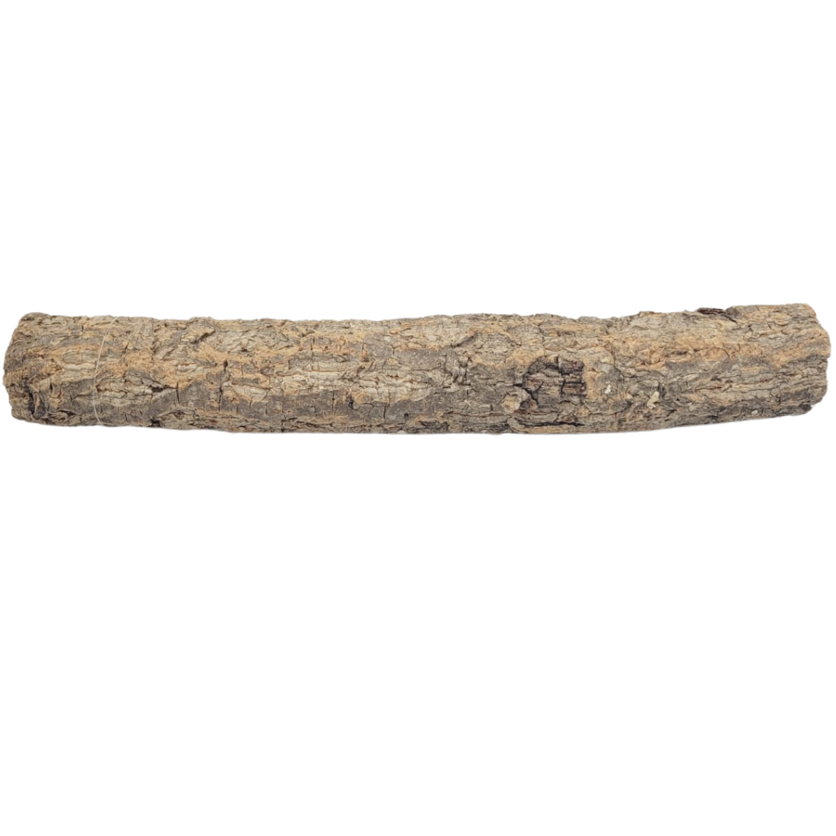 SKRw RAIZ ORNAMENTAL TORA RETA DE 30 A 60CM KL